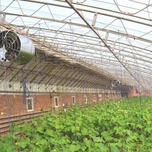 Greenhouse ftohjes dhe Fan Circulation ventilim Product ZLFJ400 / 500, Stainless Steel
