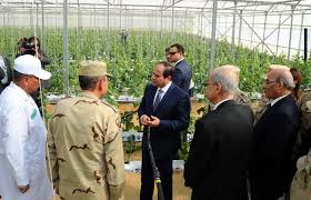 အဲဂုတ္တုပြည်၌: စိုက်ပျိုးရေးထုတ်လုပ်မှုကိုတိုးမြှင့်ကူညီရန် Sisi- ဖန်လုံအိမ်နည်းပညာ