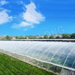 Greenhouse Diffused Plastic Film, Polyethylene Covering, UV Resistant, Diffued light