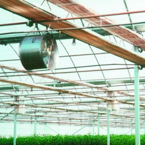 Greenhouse Hűtés és Forgalomban szellőztető ventillátor Termék ZLFJ400 / 500, rozsdamentes acél