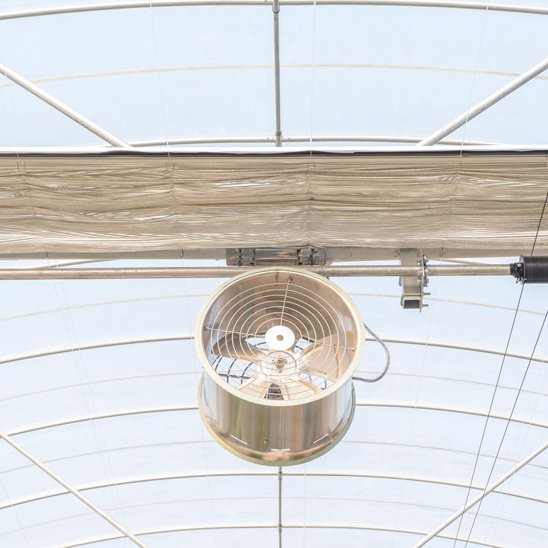 Greenhouse Circulation Fan in the Ceiling