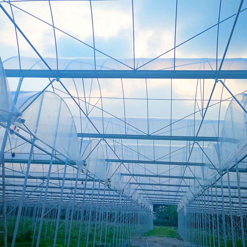 TTPO® Crystal Clear Long Lasting anti-driping Multi-span Greenhouse Plastic Film 8 mil/0.20micron Featured Image