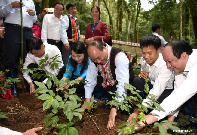 Vietnam: Impressive Progress in Hi-Tech Agriculture Development in Central Highland