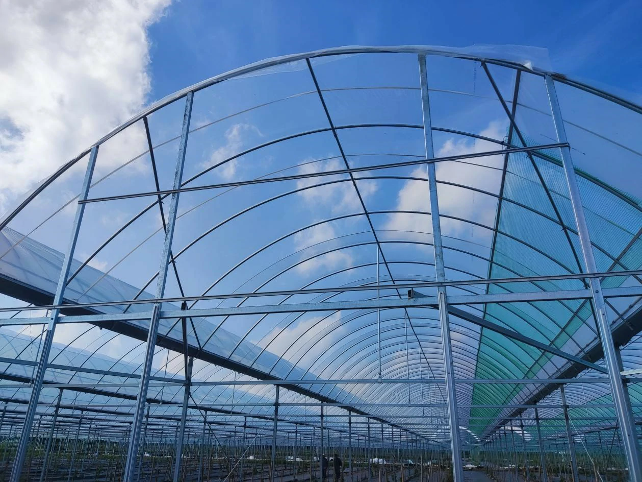 China Hot Sale Greenhouse Plastic Film Factory