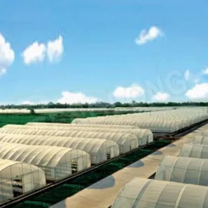 greenhouse plastic film