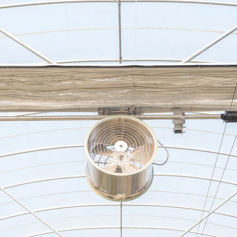Does an Air Circulation Fan Really Work? 3 Proven Ways It Boosts Greenhouse Yields in 2025