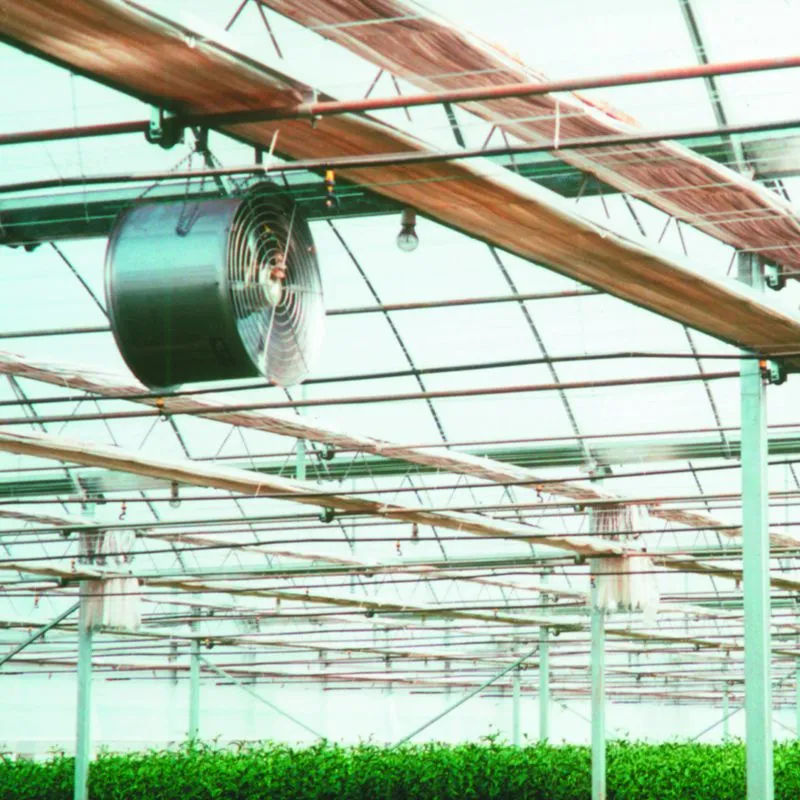 Expert 2026 Guide: Which is better, an air circulator or a fan? — 5 Factors for Growers