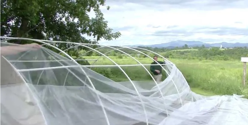 Investing in Modern Agriculture: How Fenglong Greenhouse Solutions Enhance Crop Protection and Yield – The 2026 Expert Guide for Global Growers